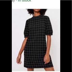 Loft windowpane dress, black, NWT size 8